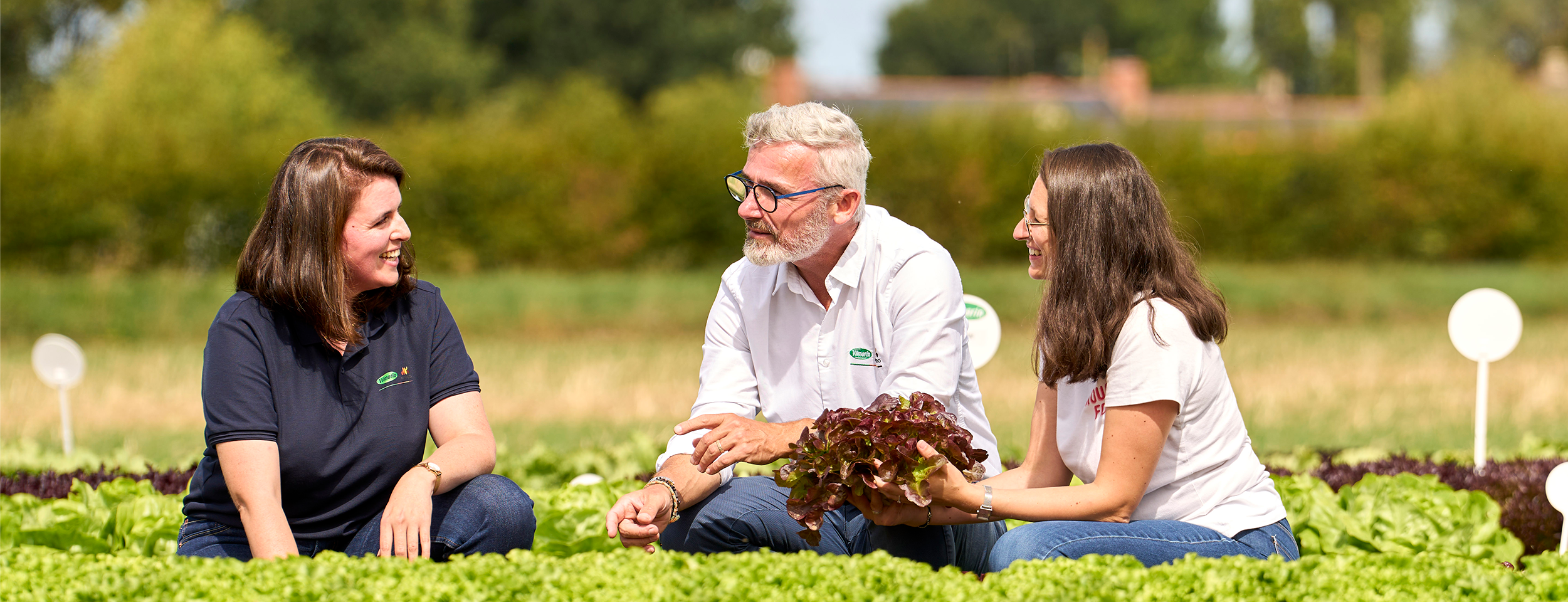 Vilmorin-Mikado Türkiye Sebze Tohumları