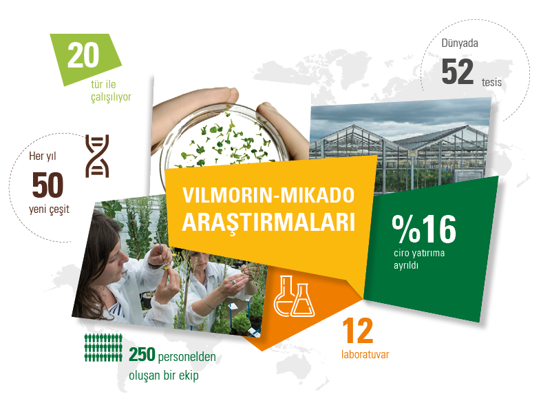 VILMORIN-MIKADO_Arastirmalari.png