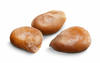 domates tohumu